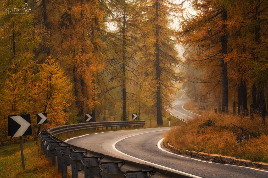 Dolomites, FOREST, Italy, Landscape, Martin Podt, autumn, fall, mountains, nature, road, trees